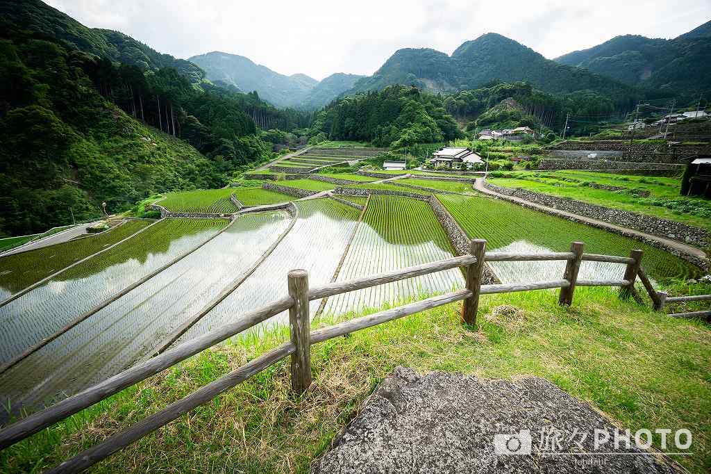 竹地区の棚田