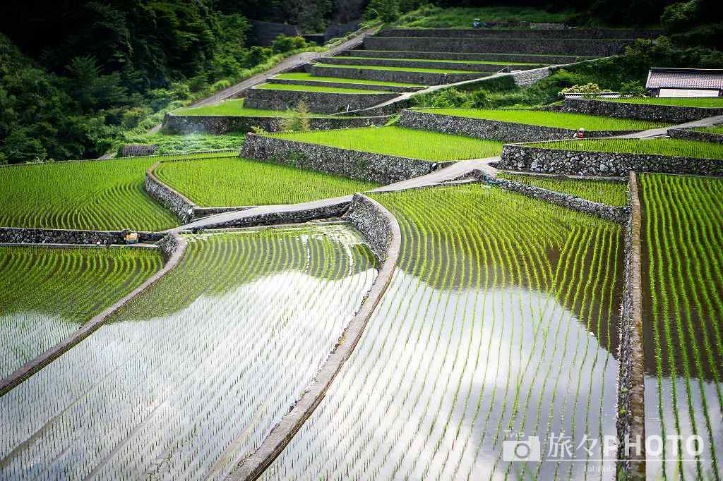 竹地区の棚田