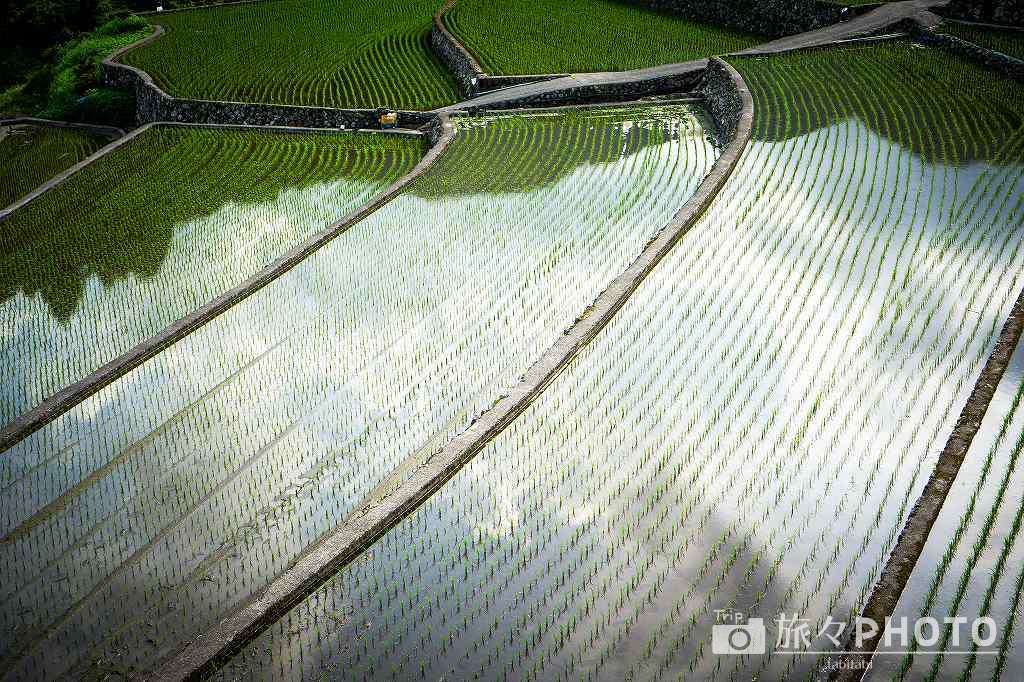 竹地区の棚田 水面に映る青空