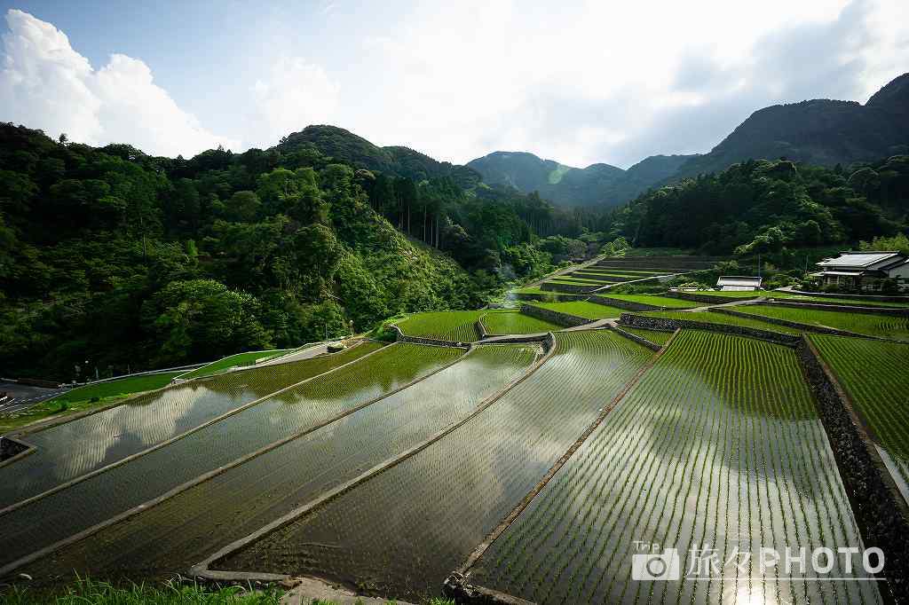 竹地区の棚田 水面に映る青空