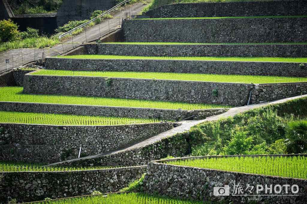 竹地区の棚田 石積み