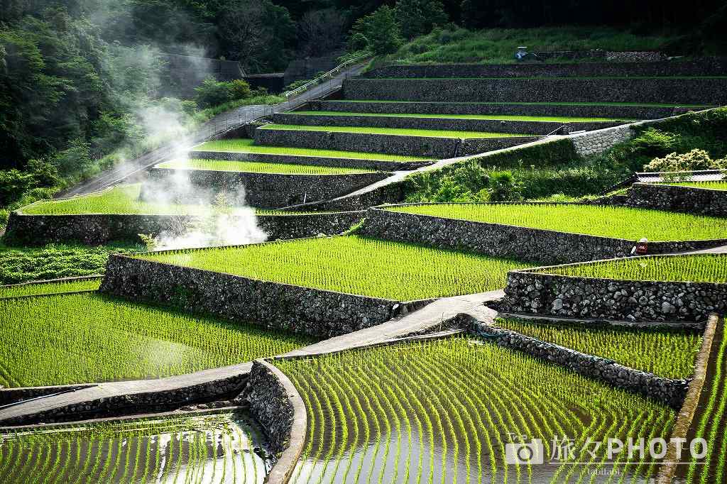 竹地区の棚田 石積み
