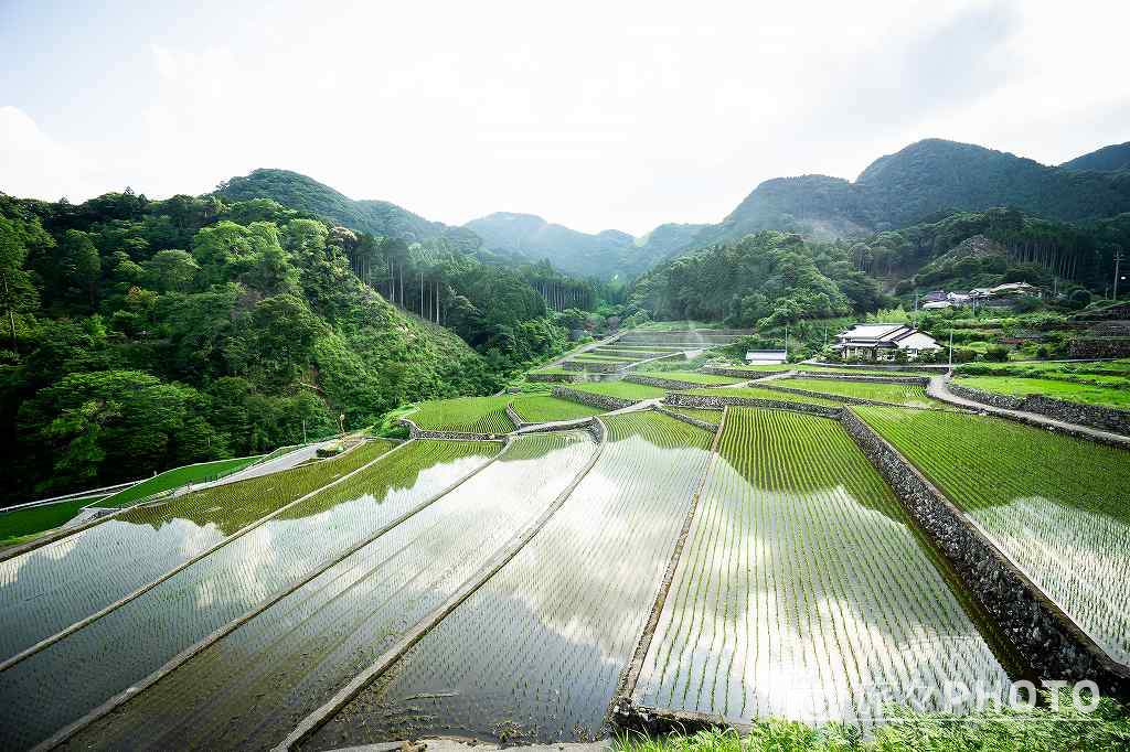 竹地区の棚田