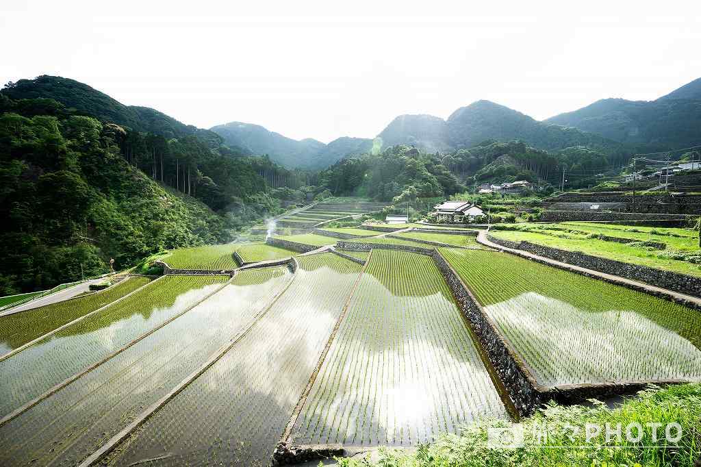 竹地区の棚田